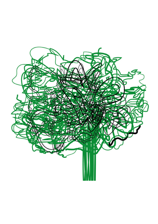 la vita degli alberi